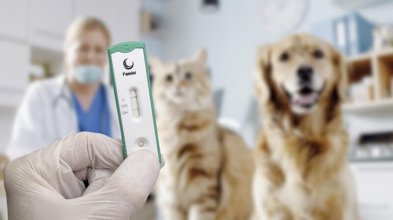 CryGiDia HundKatze+Kassette 822738090