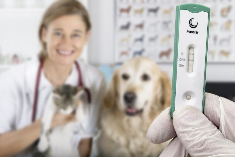 GiaCPE HundKatze+Kassette 90167510