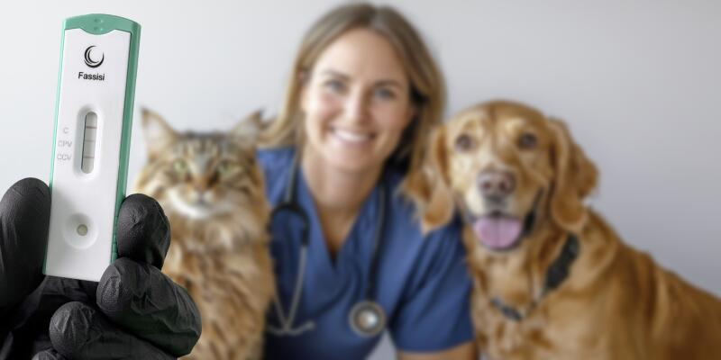 ParCo HundKatze+Kassette 1208037167