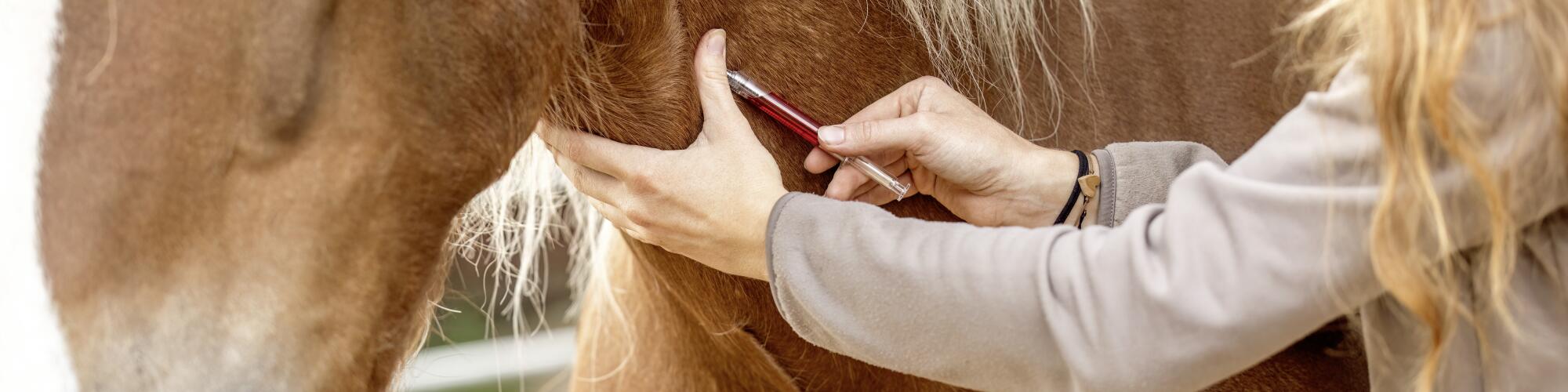 AdobeStock 1697113391