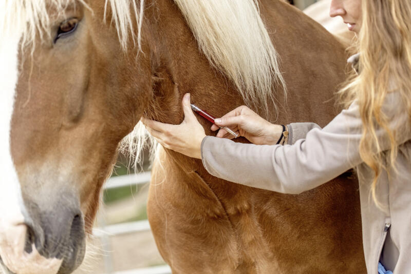 AdobeStock 1697113391