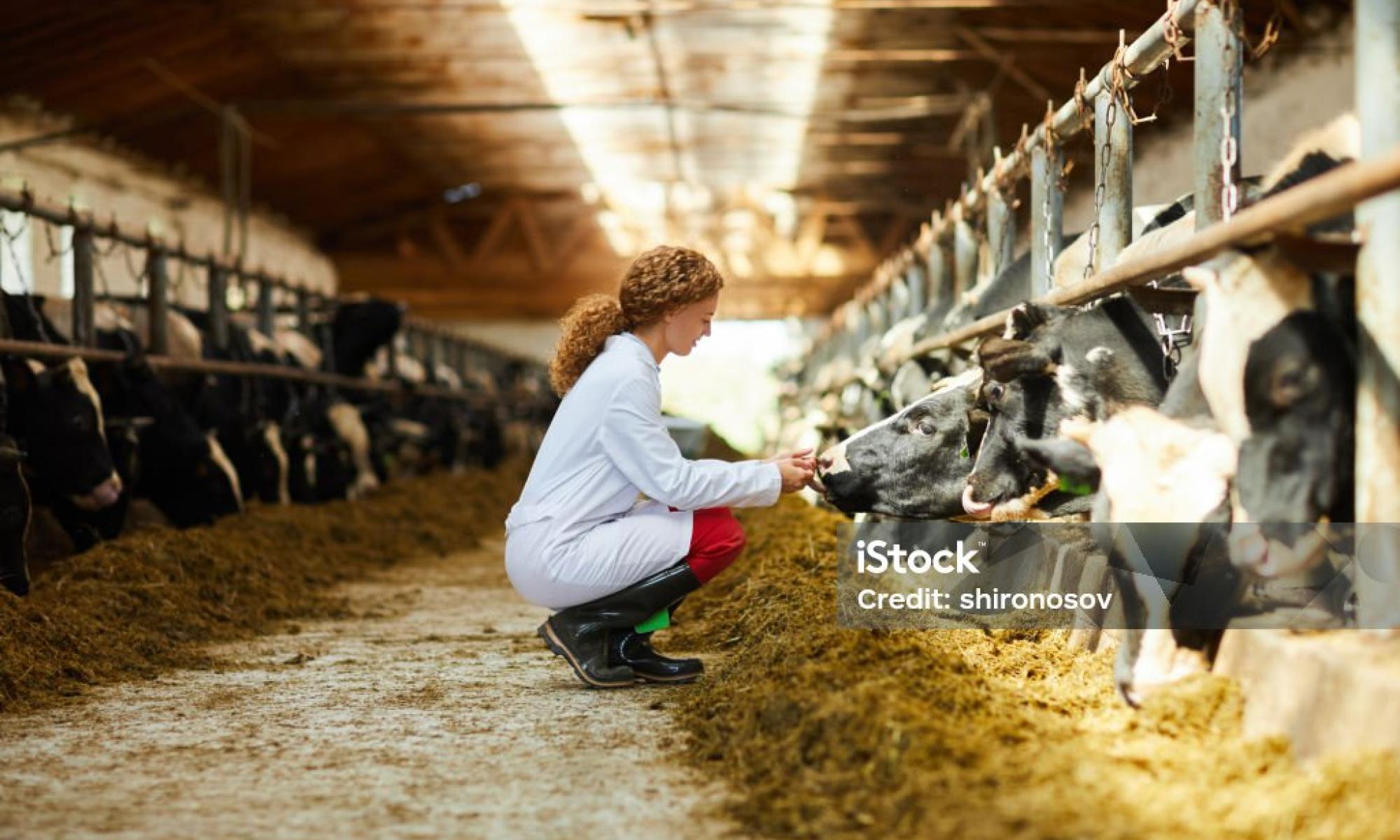 5ba91726ad3b78352a8c2daaec20249d781e4888