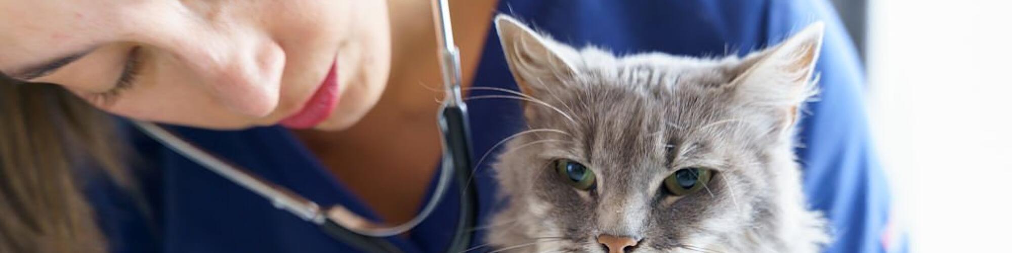 98dea64210b5cda3f501f00d986c98dbc914f8f6