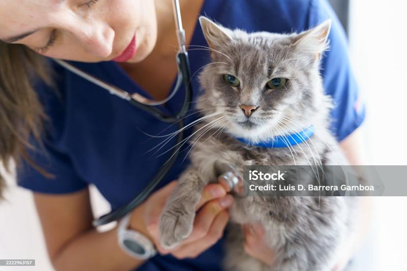 98dea64210b5cda3f501f00d986c98dbc914f8f6