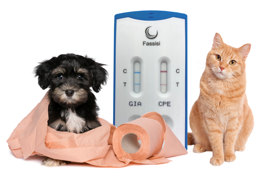 fassisi giardia bild