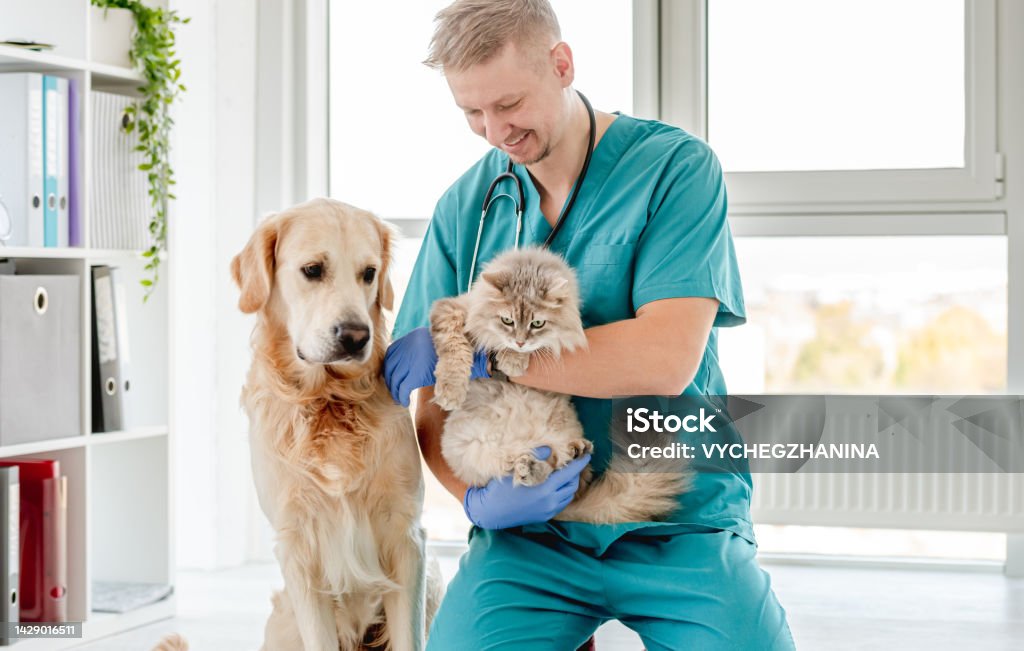 istockphoto 1429016511 1024x1024