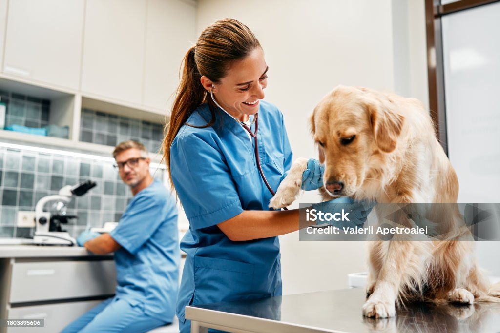 istockphoto 1803895606 1024x1024